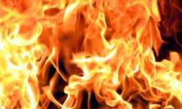 Пожарные ликвидировали возгорание в Белгород-Днестровском районе