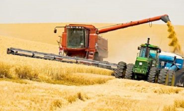 В Украине собрали уже почти 12 млн тонн урожая