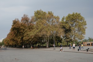 Одесса, осень, 2016 (2)