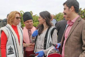 Дипломаты виноград Гагаузия