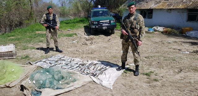 На Дунае задержали браконьеров с уловом на 28 000 гривен