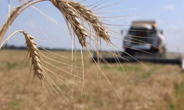 Аграрії Одещини завершили жнива - намолочено 2,5 млн тонн зерна
