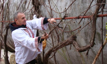 «Трифон Зарезан» в Рени: на местном винзаводе провели первую символическую обрезку виноградной лозы