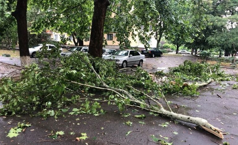 В Измаиле ураган повалил деревья, часть измаильчан осталась без интернета и кабельного ТВ (ФОТО)
