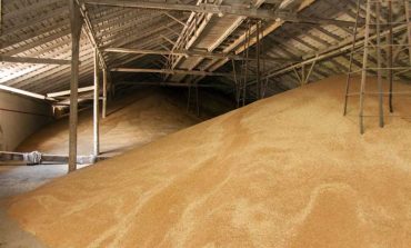 Кабмин упростил экспорт пшеницы