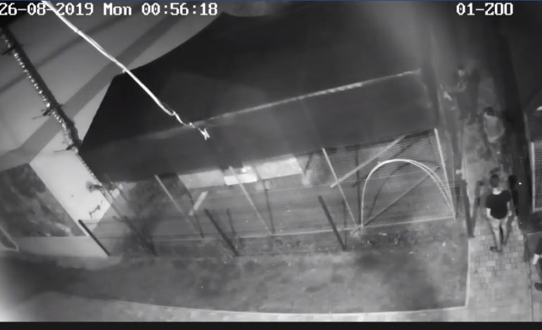 В Тарутино камеры видеонаблюдения зафиксировали, как вандалы выломали двери клеток мини-зоопарка (видео)