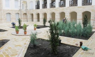 На территории Арцизской базилики высадили вечнозеленые деревья (ФОТО)