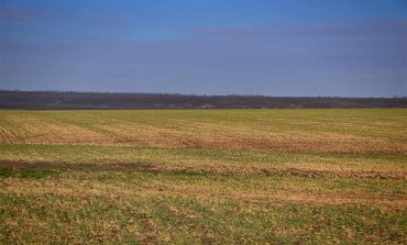 Аграрный сектор Одесской области на грани коллапса из-за засухи, - Антон Киссе