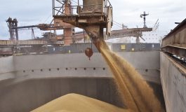 В рамках Стамбульского соглашения экспортировано почти 6 млн тонн украинского зерна