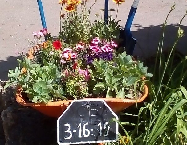 Прогулка по Арцизу на Троицу (фото)