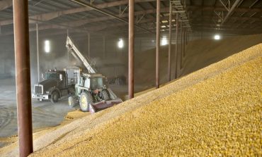 Украина ежемесячно увеличивает экспорт зерна через западные границы на 50%