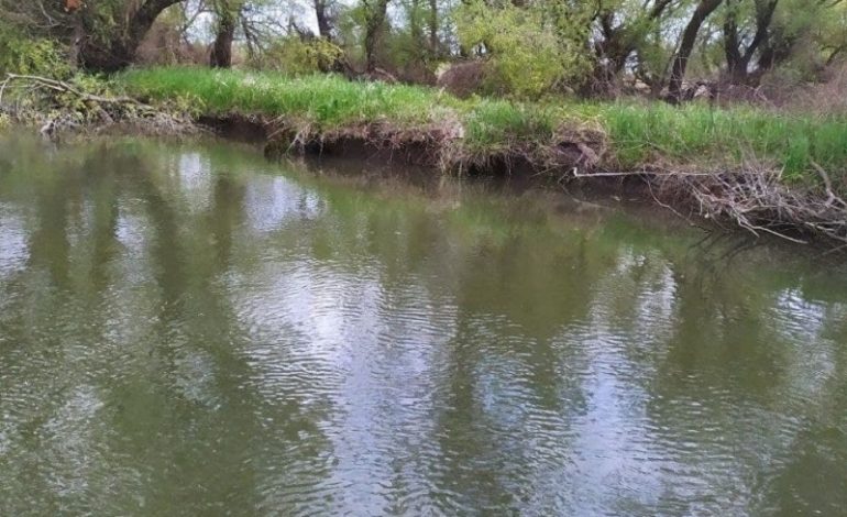 Нерест под угрозой: в низовье Днестра падает уровень воды (фото)