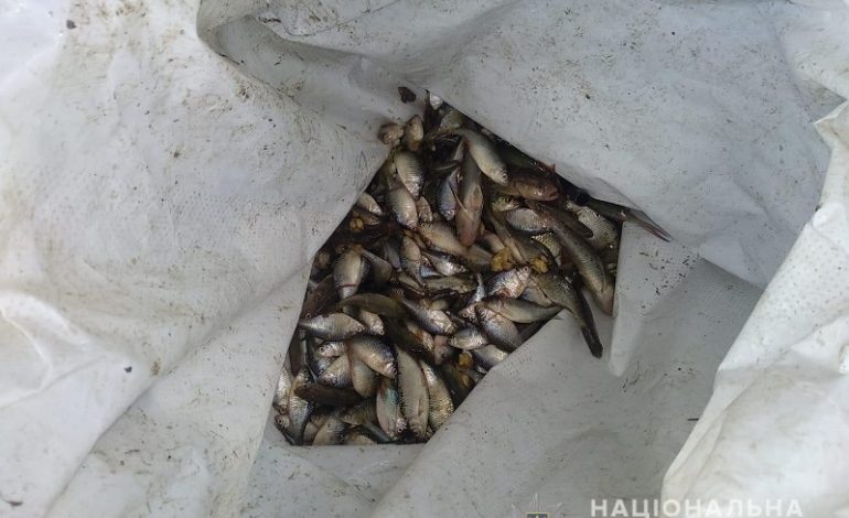 На озере Ялпуг браконьер ловил мальков рыб на корм домашней птице
