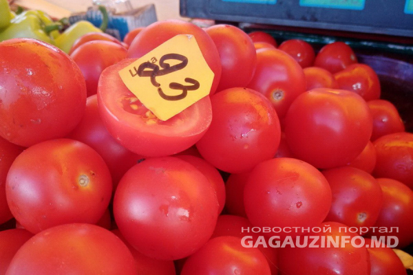 цены на помидору в Украине