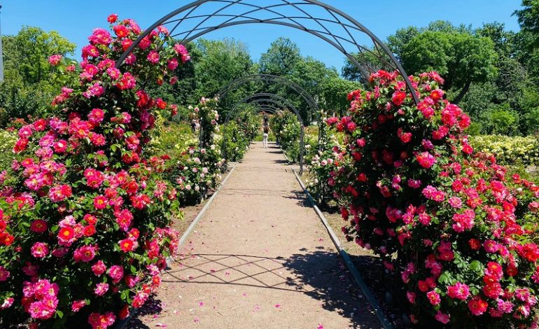 Одесский ботанический сад внесли в заповедный фонд Украины