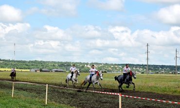 На юге Одесской области организовали конные скачки – победитель выиграл барана