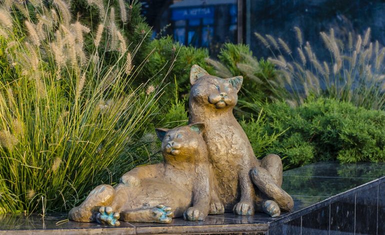 Возле Привоза установили очередную скульптуру одесских котов (фото)