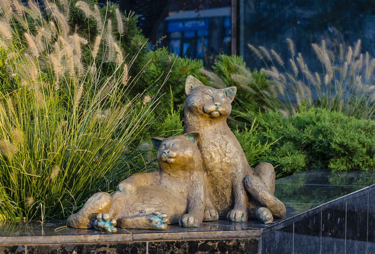 скульптуры котов в Одессе