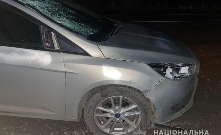 В ДТП на трассе Одесса-Рени погиб пешеход
