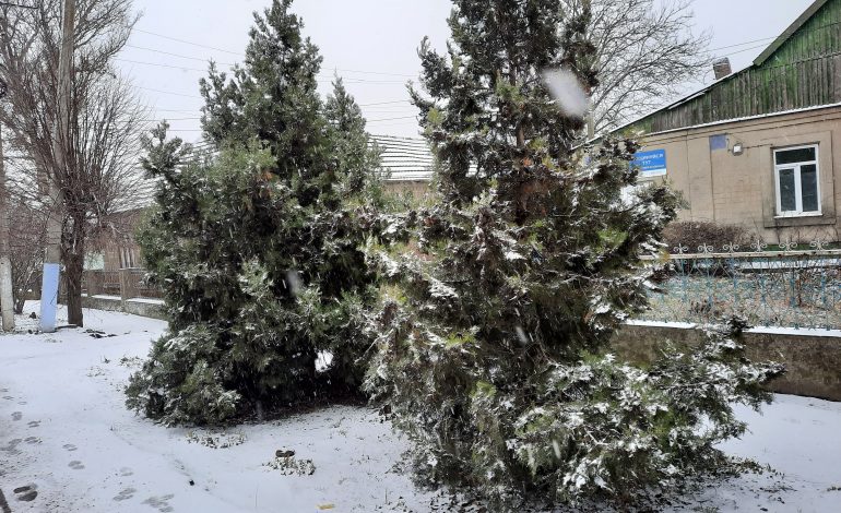 В Арциз пришла настоящая зима со снегом (ФОТО)