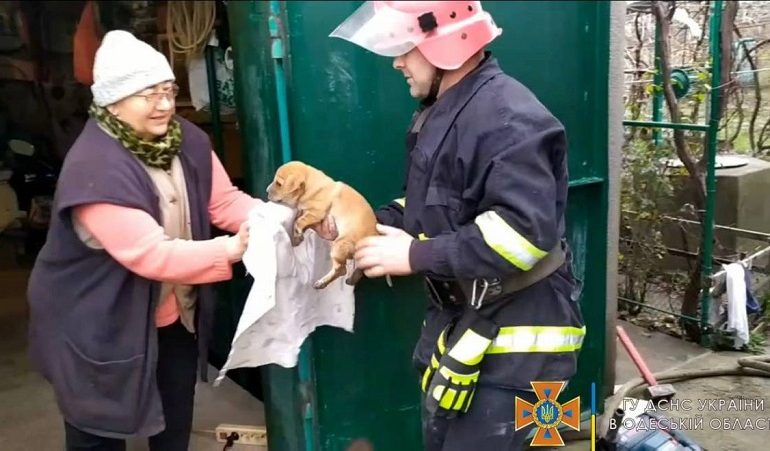 Как спасали собаку в Белгороде-Днестровском