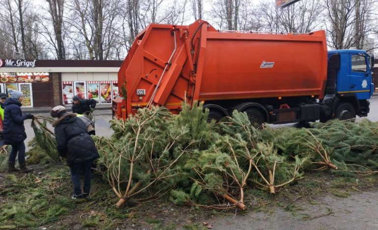 Облили соляркой и выбросили: в Одессе убирают выброшенные торговцами ёлки