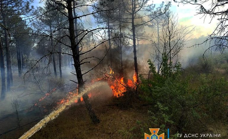 В Вилково ликвидирован масштабный лесной пожар