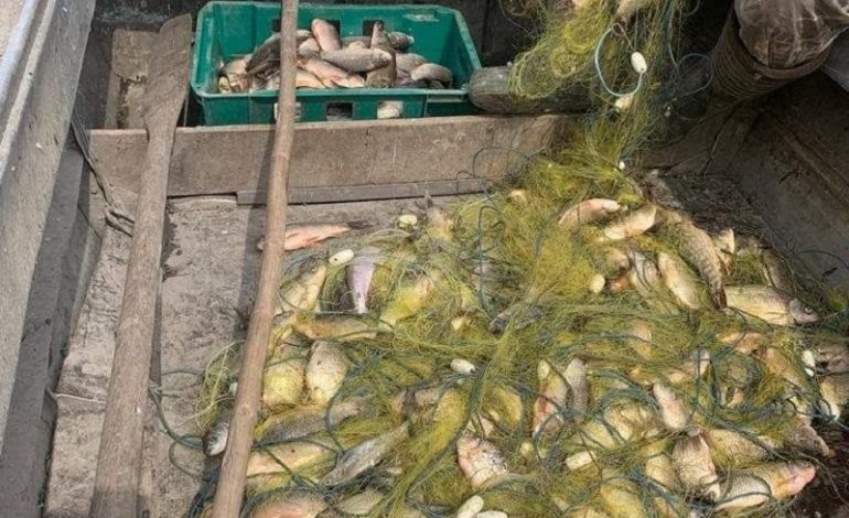 Ущерб государству 600 тыс грн: на Днестровском лимане разоблачили браконьера