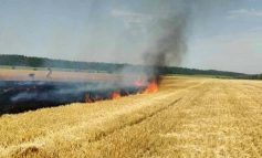 В Болградском районе горело поле с ячменем