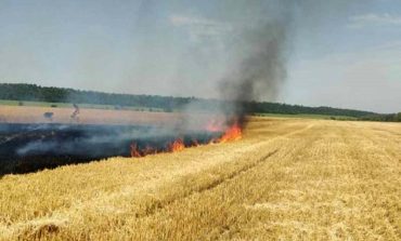 В Болградском районе горело пшеничное поле