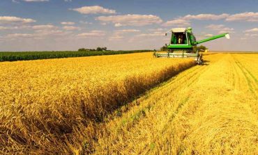 Аграрии Болградского района начали уборку урожая