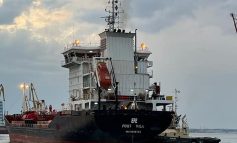 В порт Одеси зайшли судна під завантаження олією та кукурудзою