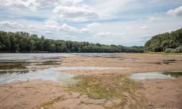 Молдова вводит чрезвычайную ситуацию из-за засухи