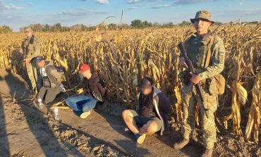 У Болградському районі затримали ухилянтів від військової служби посеред кукурудзяного поля