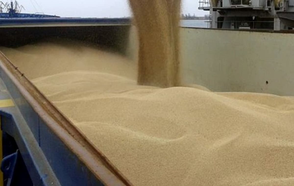 Grain from Ukraine: українське зерно почнуть поставляти до Мозамбіку