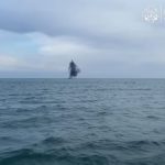 Турция, Румыния и Болгария начали операцию по разминированию в Черном море