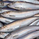 В Украине реформируют рыбную отрасль
