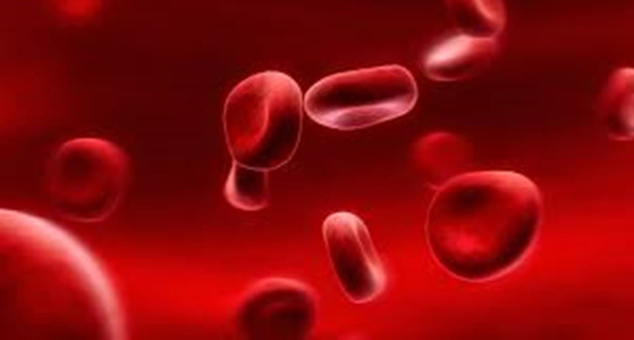 Что такое гемоглобин, роль и нормы