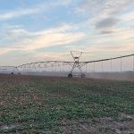 Уряд розширив підтримку аграріїв у прифронтових регіонах