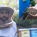 На юге Одесчины массово погибли пчелы