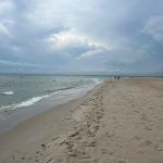 На яких пляжах Одещини вода відповідає санітарним нормам і є безпечною для купання