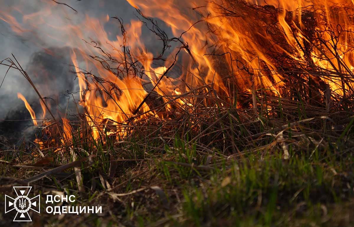 Пожежа в Одеському районі