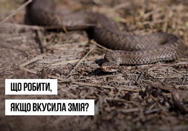 укуси змій