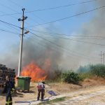 Пожарные ежедневно выезжают на тушение десятков возгораний сухой растительности