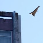 Атака «шахедов» по ТЦК в Полтаве, есть погибшие