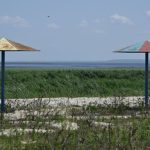 Територію Каховського водосховища регулярно охоплює вогонь – екоінспекція