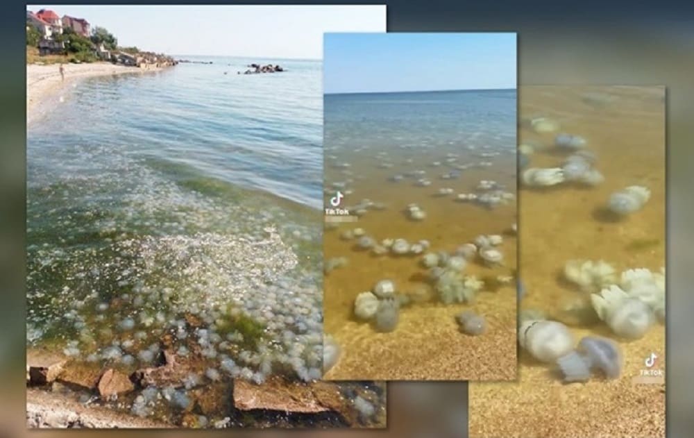 Азовське море